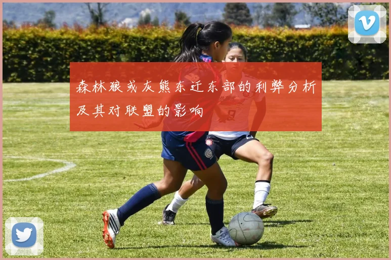 森林狼或灰熊东迁东部的利弊分析及其对联盟的影响