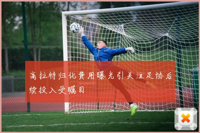 高拉特归化费用曝光引关注足协后续投入受瞩目