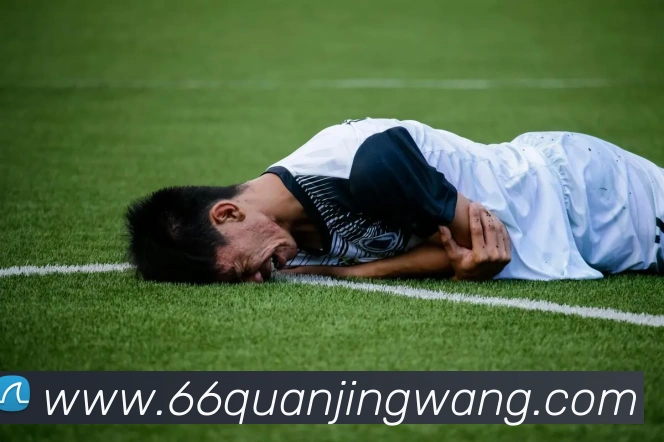 多媒体互动体验